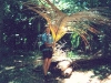 photo17_8a