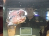 Więc poszliśmy do oceanarium... 