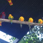 P2220526