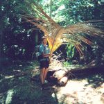 photo17_8a