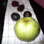 Nasza kolacja: mangostan i inne o zapomnianych nazwach