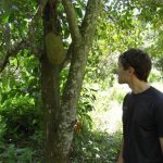 I Jhonson Fruit  czy cos takiego.