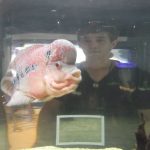 Więc poszliśmy do oceanarium...