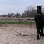 Nie ma miejsca na watpliwości (nawet lepiej nie próbować dyskutować), że jest najpiekniejszy na świecie