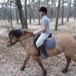 Marcin na Puchatku w lesie