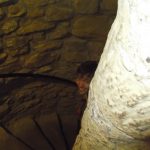 DSCF7395